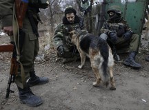 Киев объявил перемирие на Донбассе: ночью шли бои, утром наступил «день тишины»
