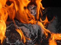 Футбольные ультрас из Волыни устроили Киеву взбучку