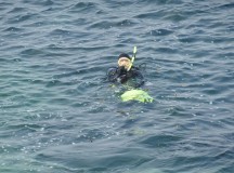 Крымские археологи встретили Новый год на дне. Черного моря